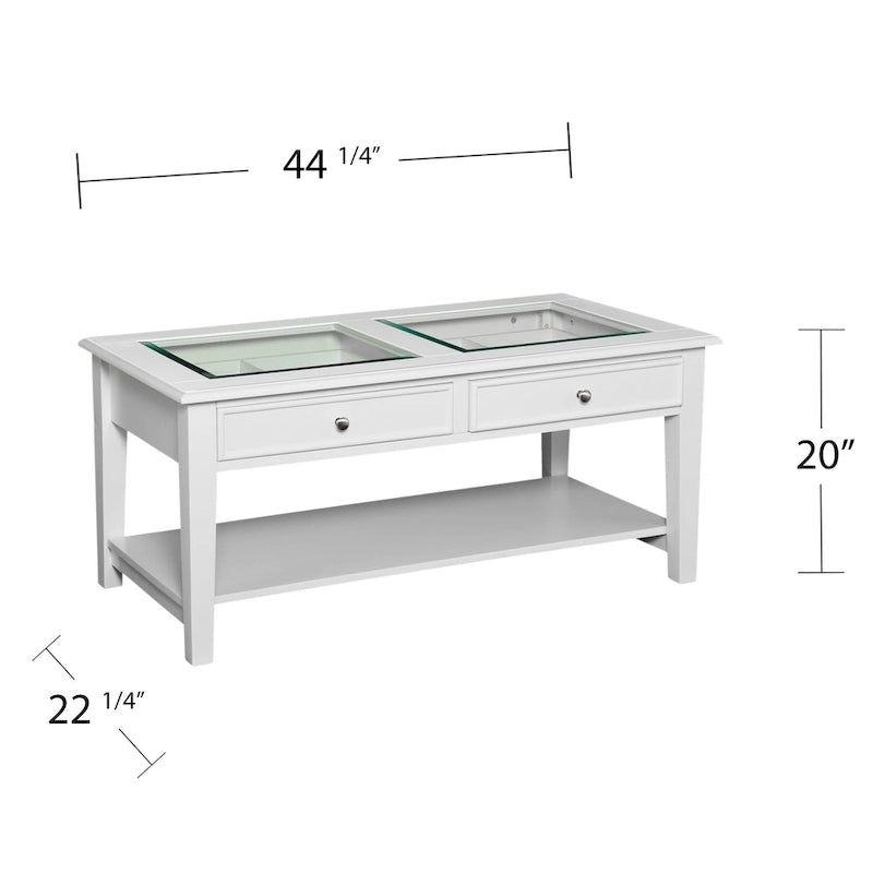 Transitional Display Coffee Table with Storage